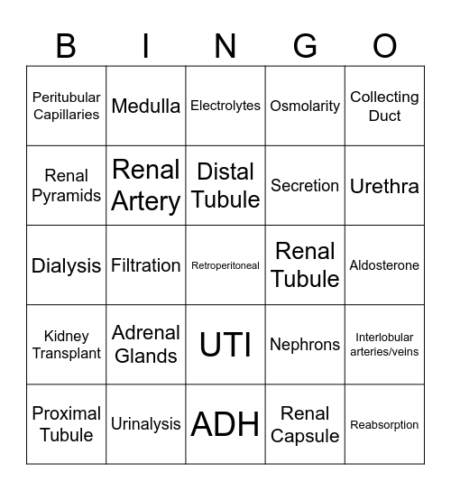 Urinary System Review Bingo Card