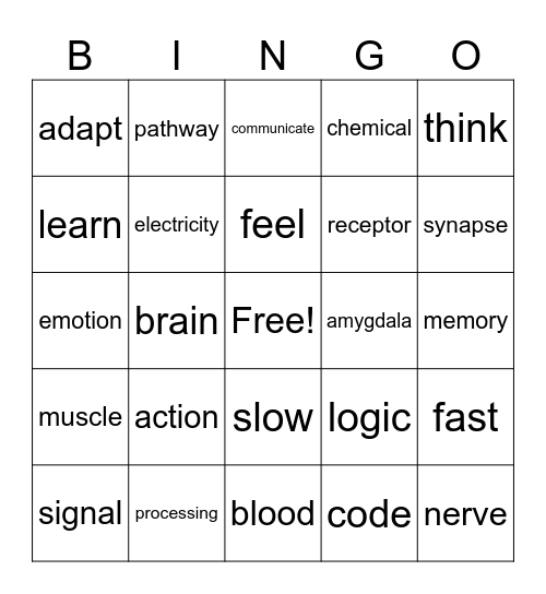 React-nervous system Bingo Card