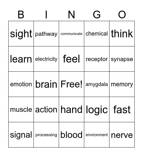 React-nervous system Bingo Card