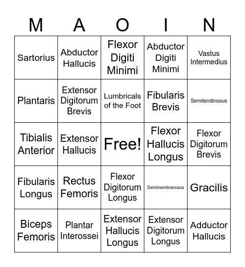 Anatomy Bingo Card