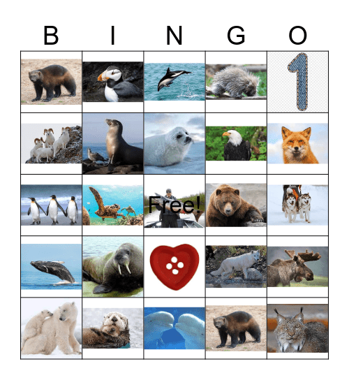ALASKAN  ANIMALS Bingo Card