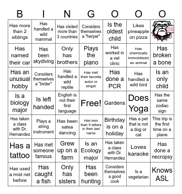 Get to know you BINGOOO Bingo Card