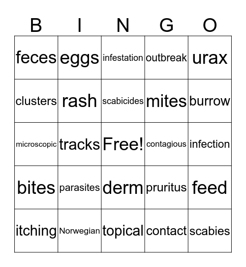 scabies Bingo Card