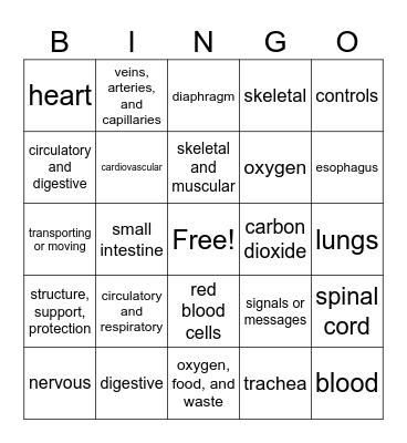 Human Body Review Bingo Card