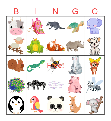Animals bingo Card