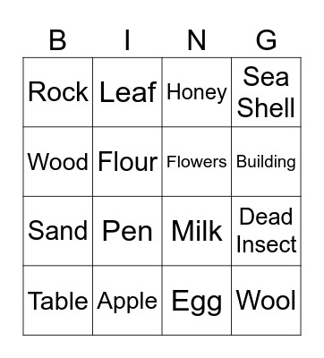 Non-Living Things Bingo Card