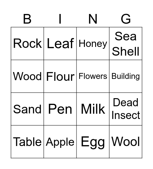 Non-Living Things Bingo Card