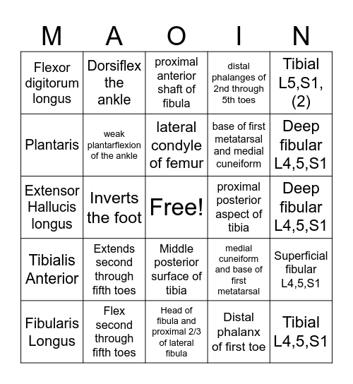 MAOIN Bingo Card