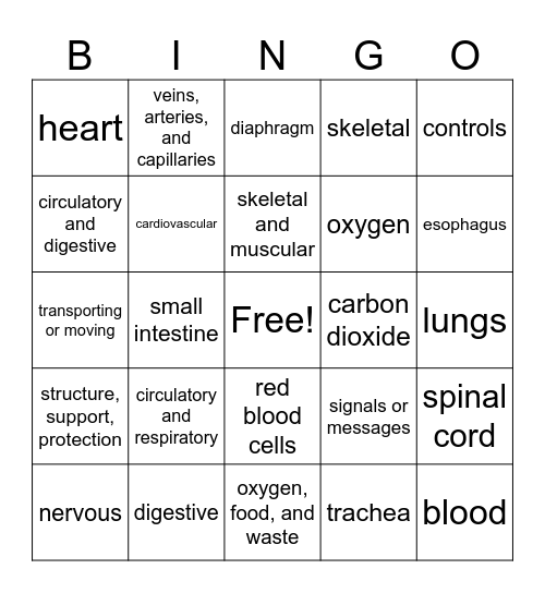 Human Body Review Bingo Card