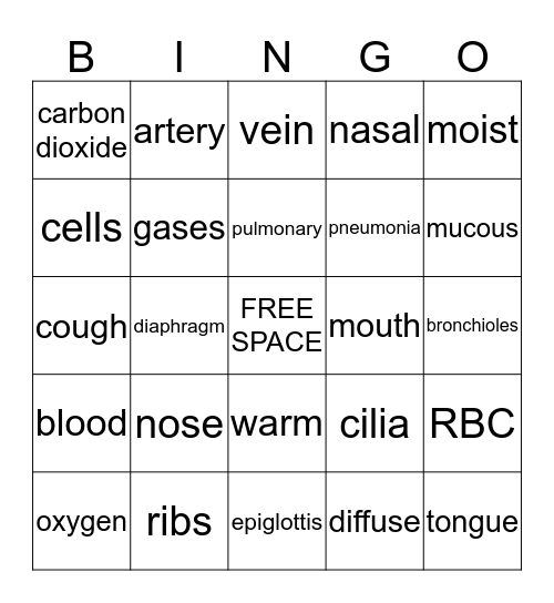 RESPIRATION SYSTEM Bingo Card