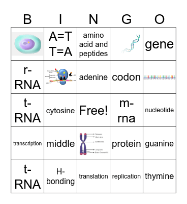 DNA Bingo Card