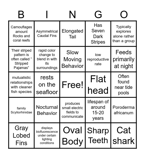 Pyjama Shark Bingo Card