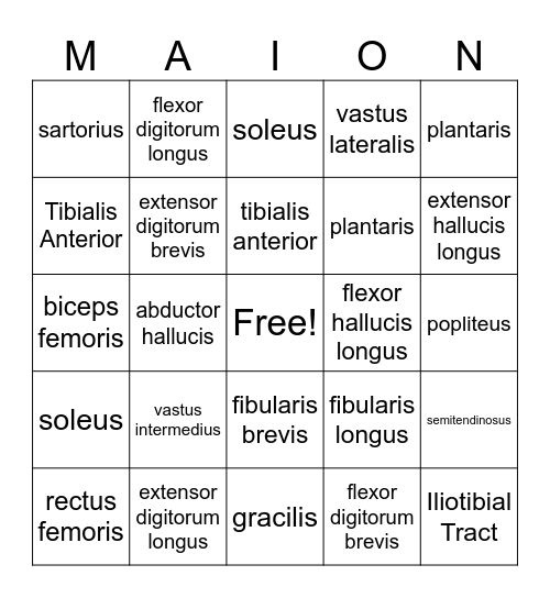 MAOIN Bingo Card