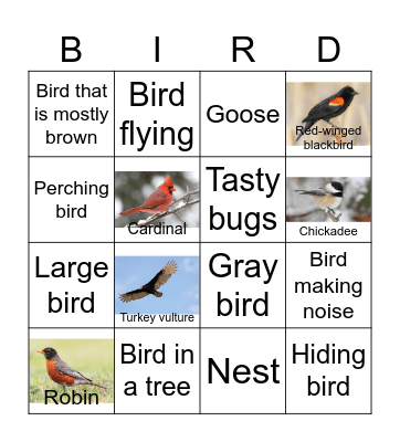 Birdwatching Bingo Card
