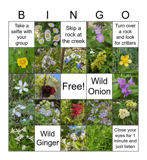 BLACKOUT BLOOM BINGO Card