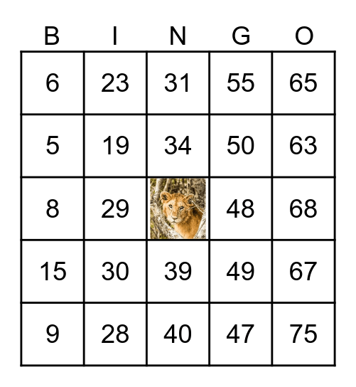 ANIMAL Bingo Card