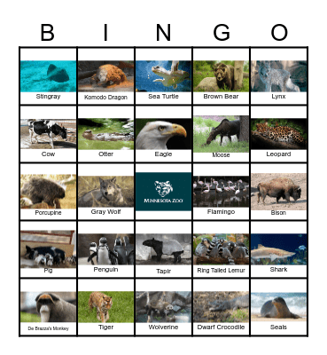 Animals at the MN Zoo Bingo Card