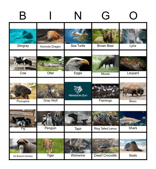 Animals at the MN Zoo Bingo Card