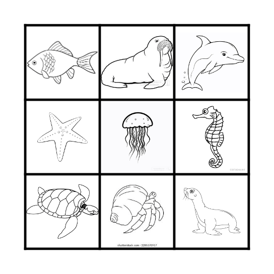 Ocean Animals Bingo Card