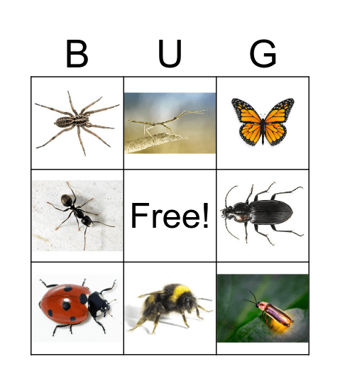 Bug Bingo Card