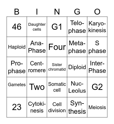 MITOSIS Bingo Card