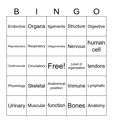 Human Body Systems Bingo Card