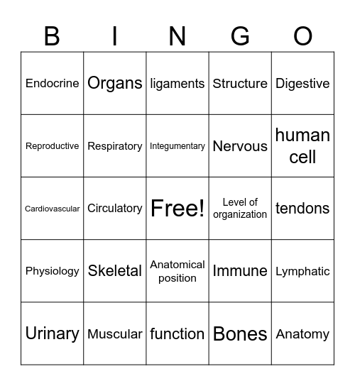 Human Body Systems Bingo Card