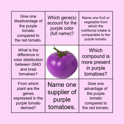 Purple tomato bingo Card