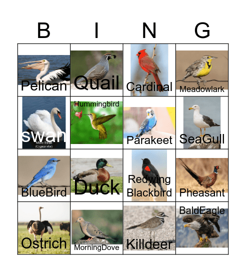 Bird Bingo Card