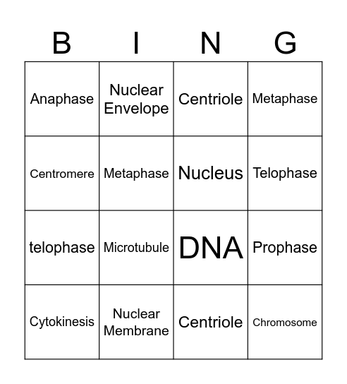 Mitosis Bingo Card