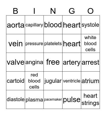 cardiovascular system  Bingo Card