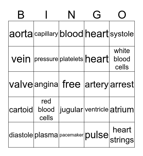 cardiovascular system  Bingo Card