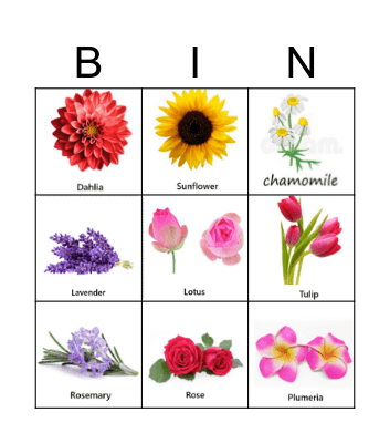 FLOWERS Bingo Card