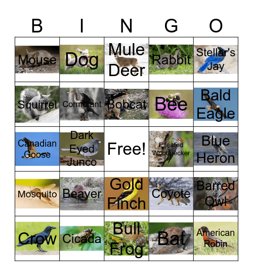 Animal Calls Bingo Card