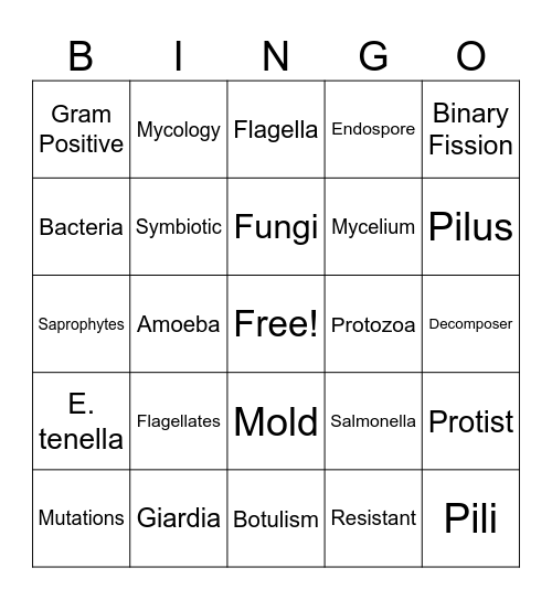 Microbiology Vocabulary Bingo Card