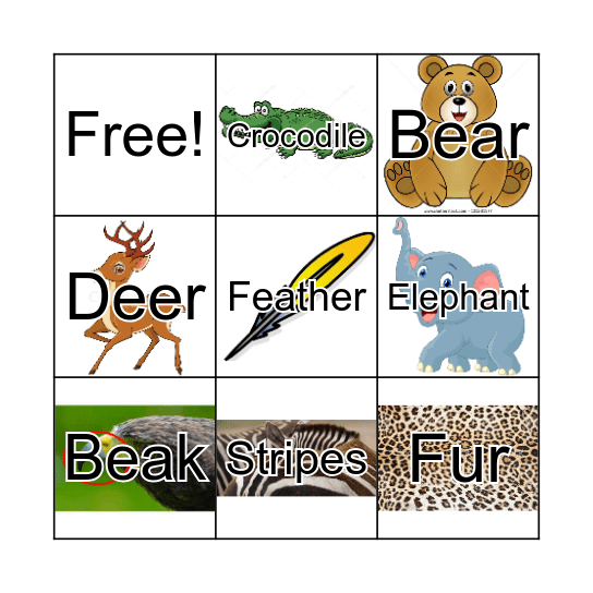 Animals And Their Body Parts Bingo Card