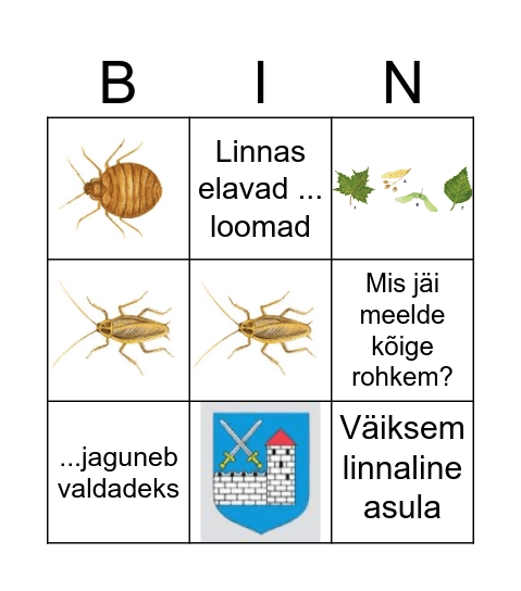 Asula Bingo Card