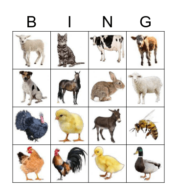 Farm animals Bingo Card