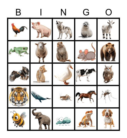 ANIMALS Bingo Card