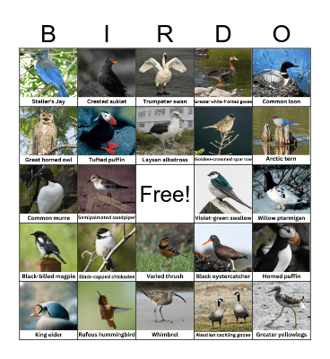 Bird Bingo for Shorebird Festival Bingo Card