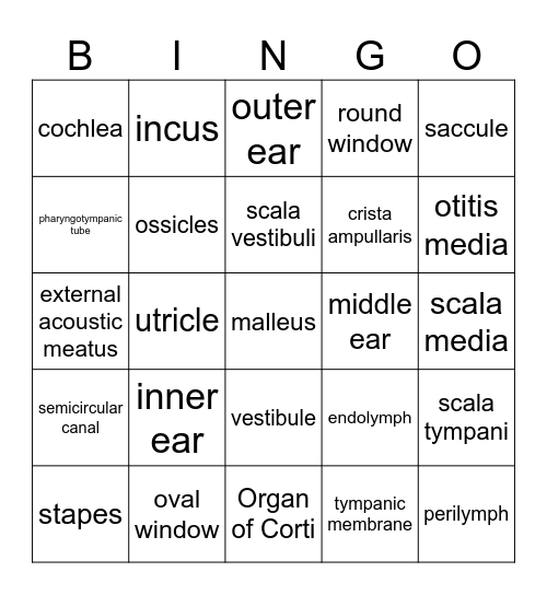 Anatomy of the Ear Bingo Card