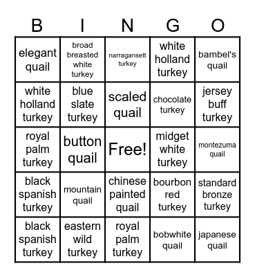 turkeys and quail Bingo Card