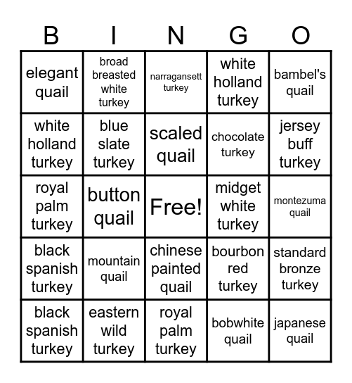 turkeys and quail Bingo Card
