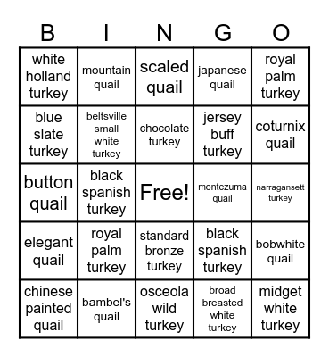 turkeys and quail Bingo Card