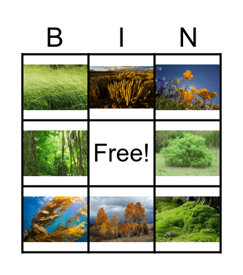Habitat Vegetation Bingo Card