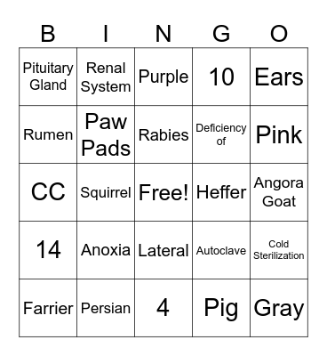 SVC Trivia Bingo Card