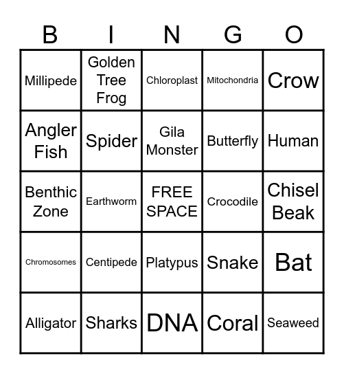 Science Bingo Card