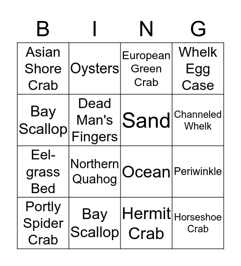 Marine Bingo Card