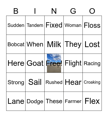 Draft 2 Bingo Card