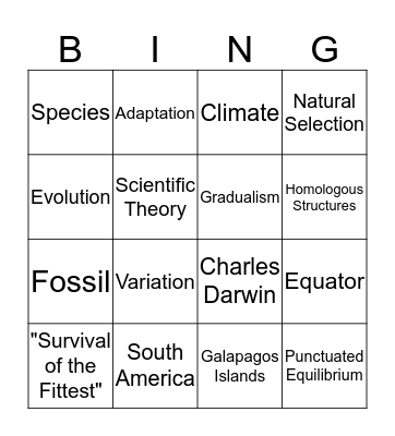 Change Over Time Bingo Card